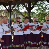 Zobacz w powiększeniu: Dożynki Gminne Baranów 2025 (19)